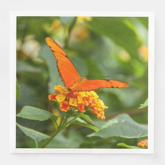 serviette en papier, photo d'un papillon (正面)