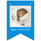 Sesame Street Characters & Street Sign バンティングフラッグ (第2の旗)