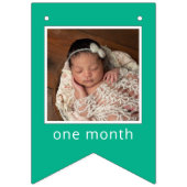 Sesame Street Characters & Street Sign バンティングフラッグ (第1の旗)