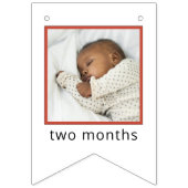 Sesame Street | Elmo First Birthday Bunting Flags バンティングフラッグ (第2の旗)