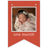 Sesame Street | Elmo First Birthday Bunting Flags バンティングフラッグ (第1の旗)