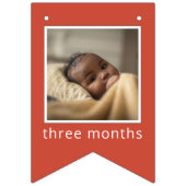 Sesame Street | Elmo First Birthday Bunting Flags バンティングフラッグ (第3の旗)