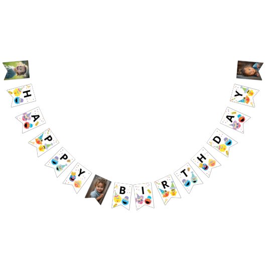 Sesame Street Pals Confetti Birthday Bunting Flags バンティングフラッグ (全)