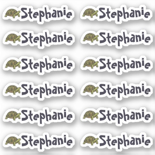 Set of 12 Cute Turtle Name Labels シール (正面)
