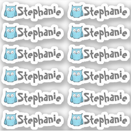 Set of 12 Small Whimsical Owl Name Labels シール (正面)