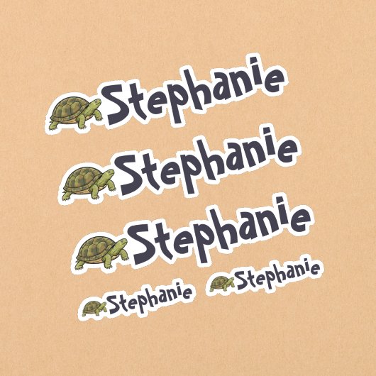 Set of 5 Cute Turtle Name Stickers シール