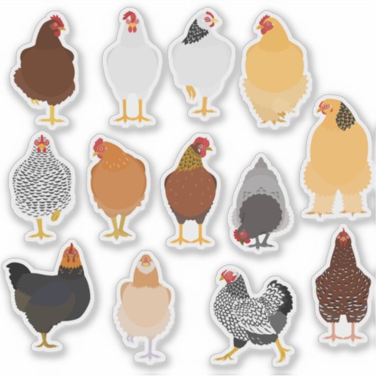 set of various chickens sticker シール (正面)