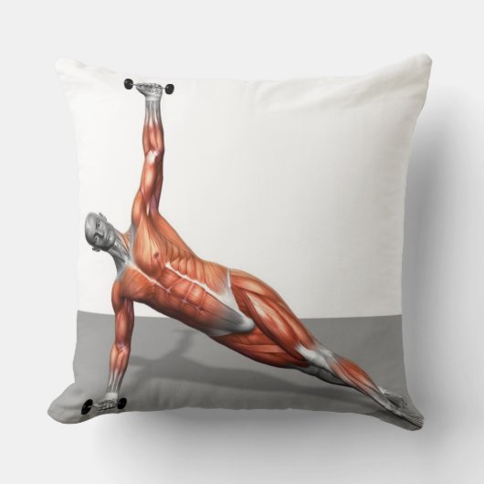 Setantaは2つを押上ます クッション (正面)