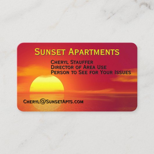 Setting Sun over Data Front Business Card 名刺 (正面)
