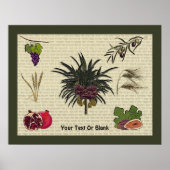 Seven Species ポスター (正面)