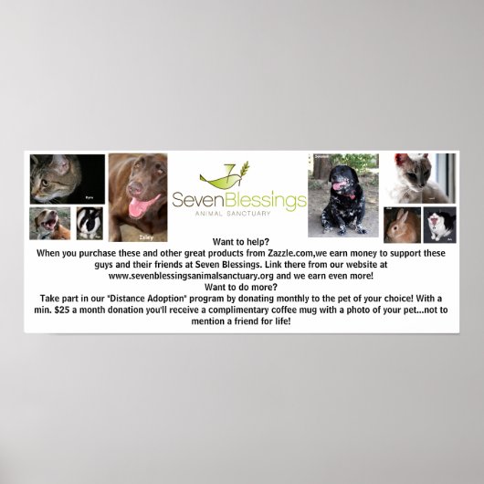 sevenblessings.org ポスター (正面)