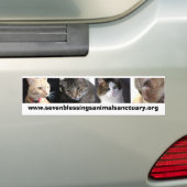sevenblessingsanimalsanctuary.org バンパーステッカー (車上)