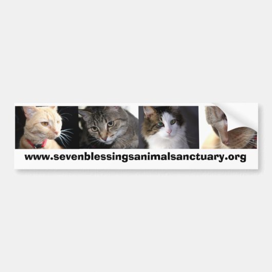sevenblessingsanimalsanctuary.org バンパーステッカー (正面)