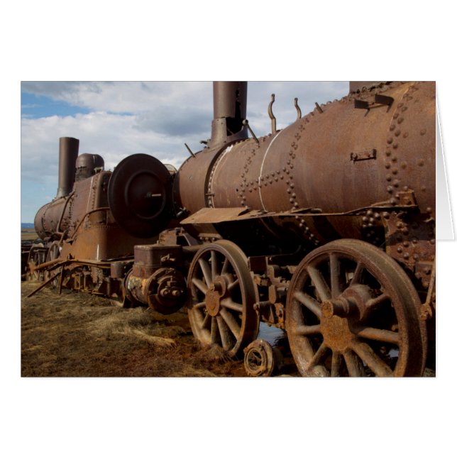 Seward半島、アラスカのどこもへの列車 (正面横)