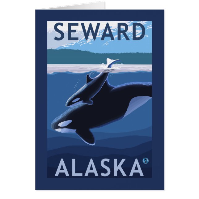 Seward、AlaskaOrca、Calf Scene (正面)