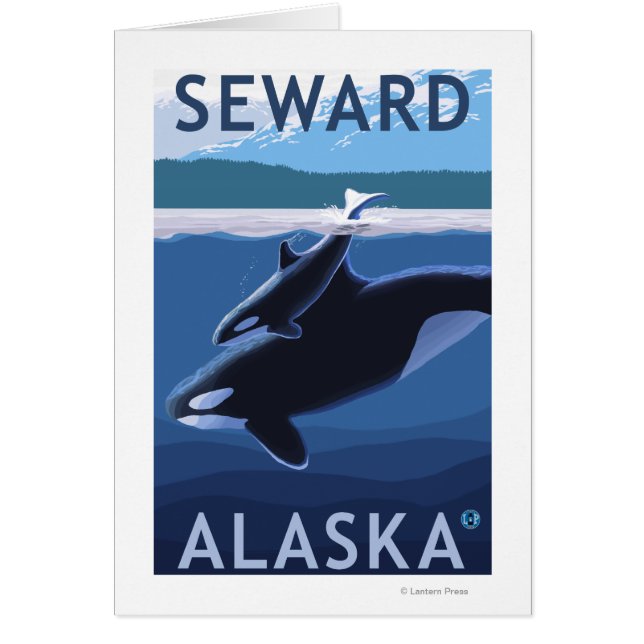 Seward、AlaskaOrca、Calf Scene (正面)