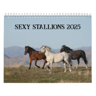 Sexy Stallion 2025カレンダー カレンダー