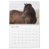 Sexy Stallion 2025カレンダー カレンダー (3月 2027)