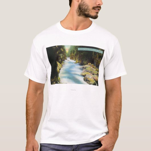 Seymour渓谷の眺め Tシャツ (正面)