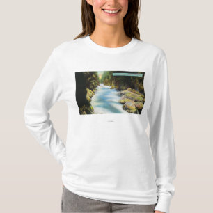 Seymour渓谷の眺め Tシャツ