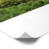 SFの禅の瞬間 ポスター (角)