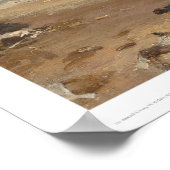 SFビーチ、シールロック、クリフハウス(1166) ポスター (角)