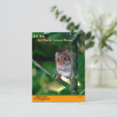 SFベイ「塩沼」のネズミは絶滅危惧種 –  シーズンポストカード (スタンド正面)