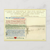 SFベイ「塩沼」のネズミは絶滅危惧種 –  シーズンポストカード (裏面)