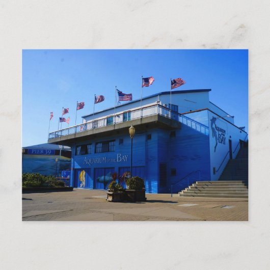 SF湾水族館#4-2はがき ポストカード (正面)