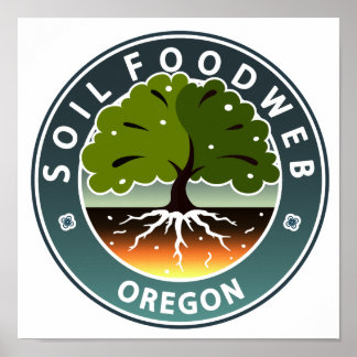 SFOポスター ポスター