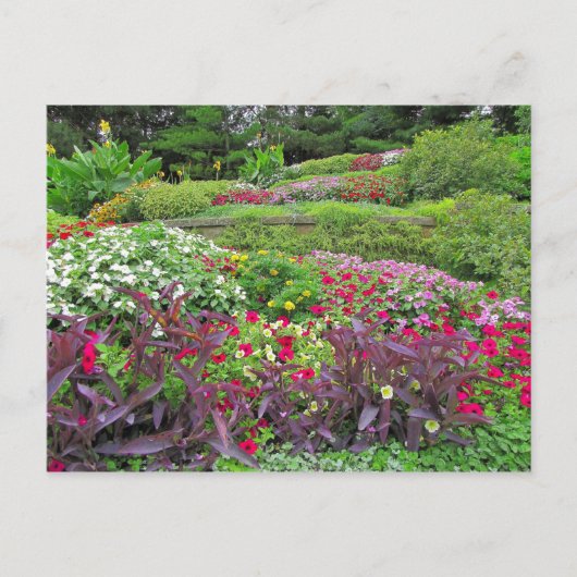 SGの景色の郵便はがき#40N 040 ポストカード (正面)