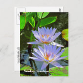SG青い睡蓮のペア#101 00101 ポストカード (正面/裏面)