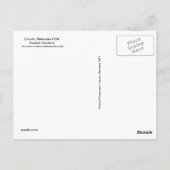 SG黄アゲハチョウはがき#81N 081 ポストカード (裏面)