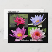SG《植物》スイレンコラージュはがき#1N 1100 ポストカード (正面/裏面)