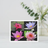 SG《植物》スイレンコラージュポストカード#2n 2200 ポストカード (スタンド正面)