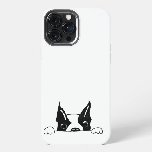 SG - 226 - iPhone 13 Pro Max ケース (裏面)