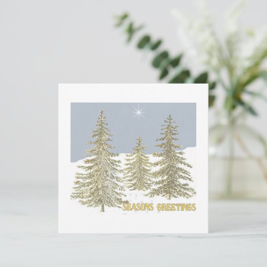 SG-Trees & Star カード (スタンド正面)