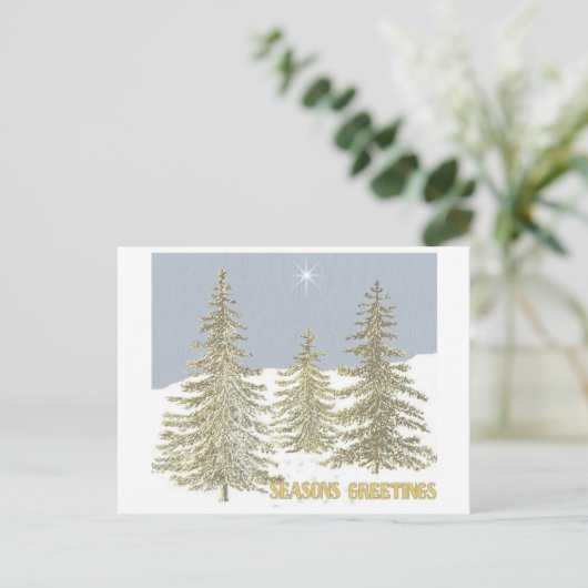 SG-Trees & Star ポストカード (スタンド正面)