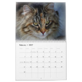 Sgolis オリジナル 猫 写真 カレンダー (2月 2027)