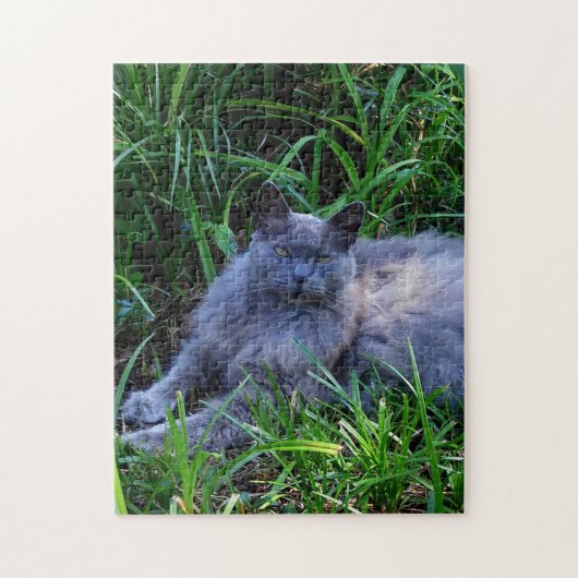 Sgolis Gray Maine Coon Cat挑戦的な写真 ジグソーパズル (縦)
