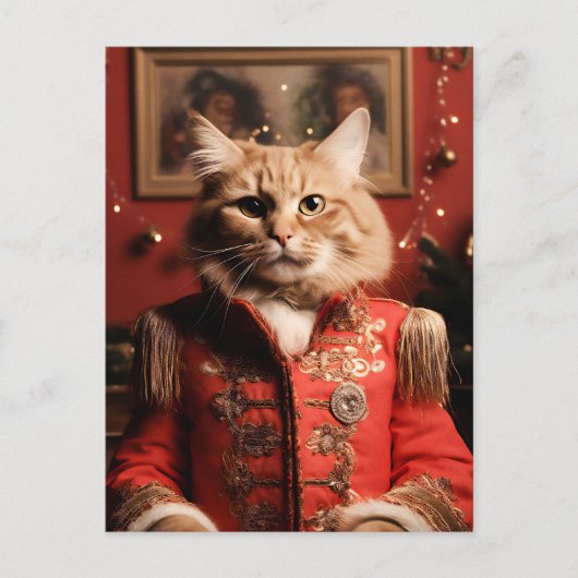 Sgt Pepper Cat ポストカード (正面)