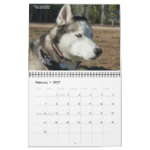 SHAAZ 2012カレンダー カレンダー (2月 2027)