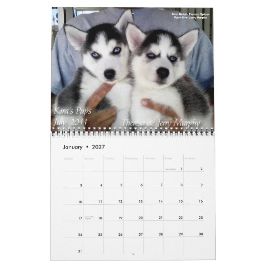 SHAAZ 2012カレンダー カレンダー (1月 2027)