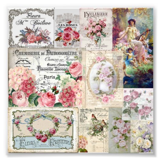 Shabby chic collage,country victorian,decoupage,mo フォトプリント            (正面)