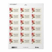 Shabby Pink Rose ラベル (フルシート)