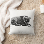Shaded Lounge Dog Pillow クッション (ブランケット)