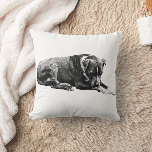 Shaded Lounge Dog Pillow クッション (ブランケット)