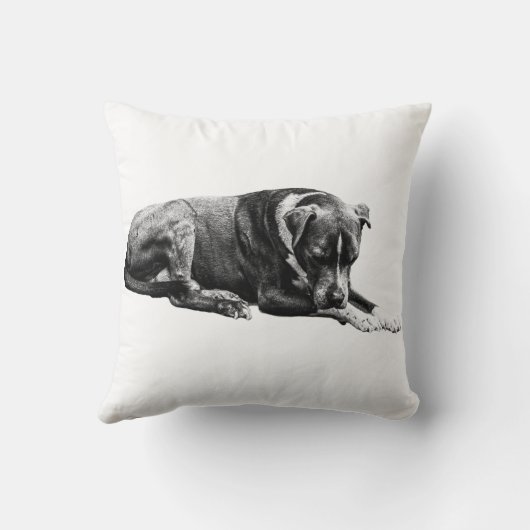 Shaded Lounge Dog Pillow クッション (裏面)