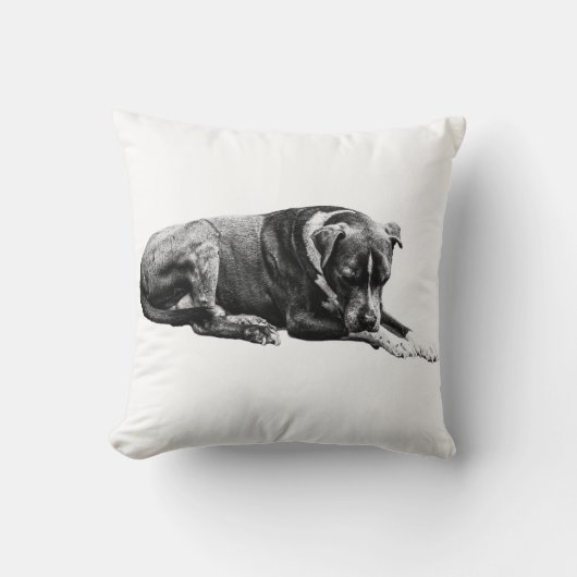 Shaded Lounge Dog Pillow クッション (正面)