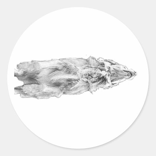 Shaded retriever, soft look ラウンドシール (正面)